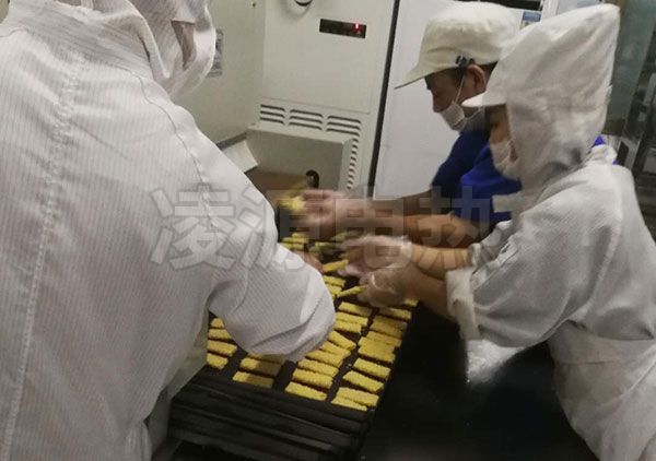 LYRL-FDS-117 食品行业蛋卷隧道式加热炉